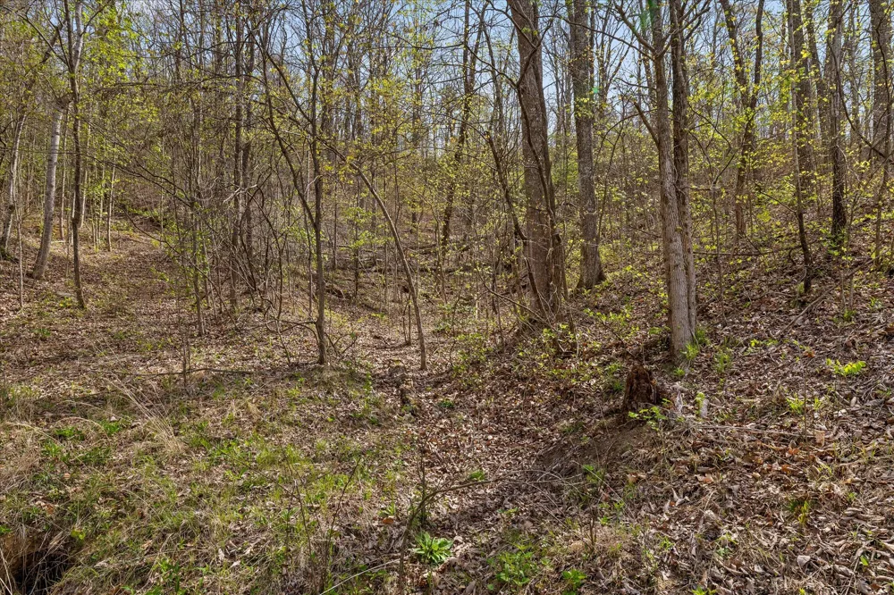 Keener Hill Road Pikeville, TN 37367