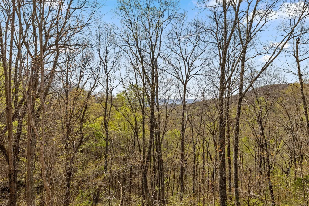Keener Hill Road Pikeville, TN 37367