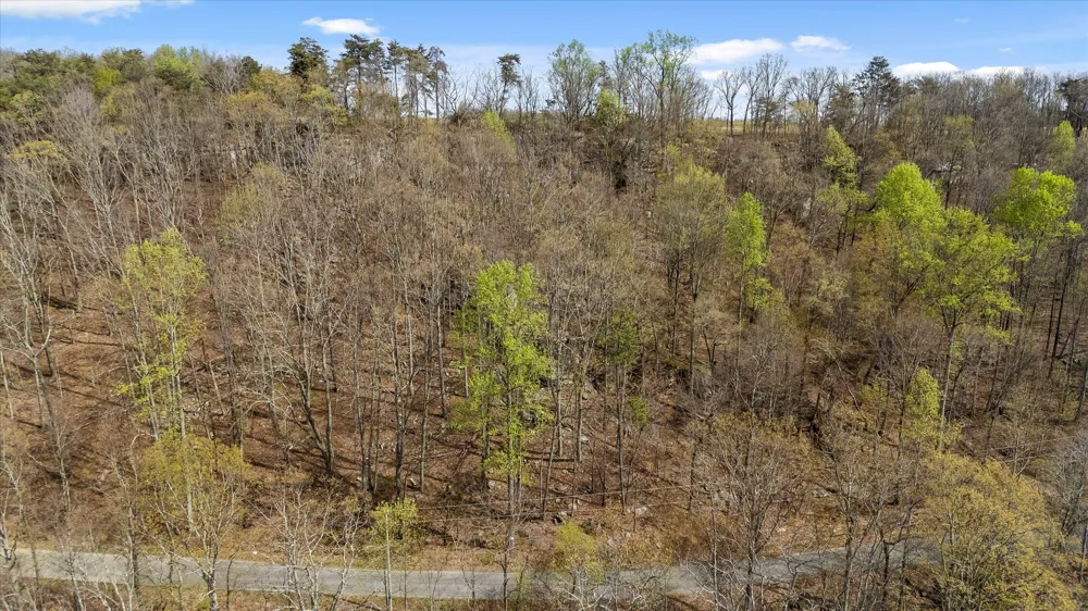 Keener Hill Road Pikeville, TN 37367