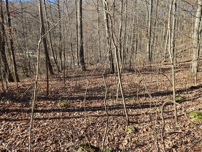Keener Hill Road Pikeville, TN 37367