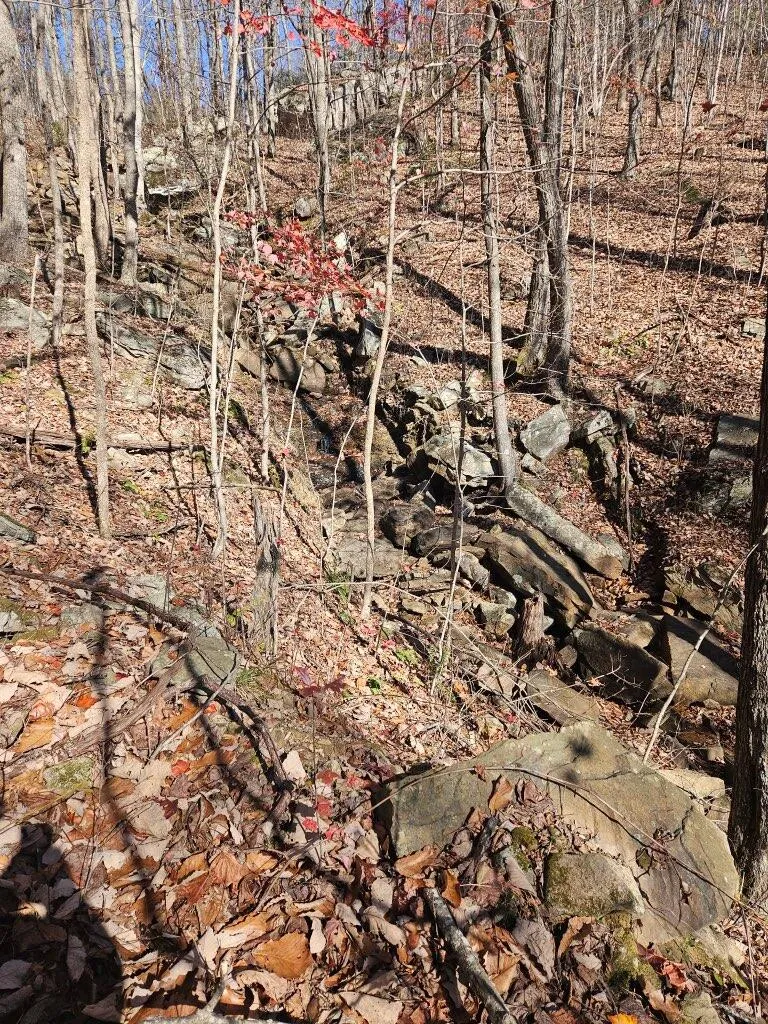 Keener Hill Road Pikeville, TN 37367