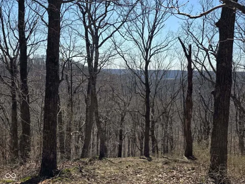 9300 E Of Delaney Park Road