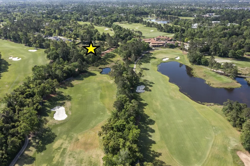 262 S Fazio Way The Woodlands, TX 77389