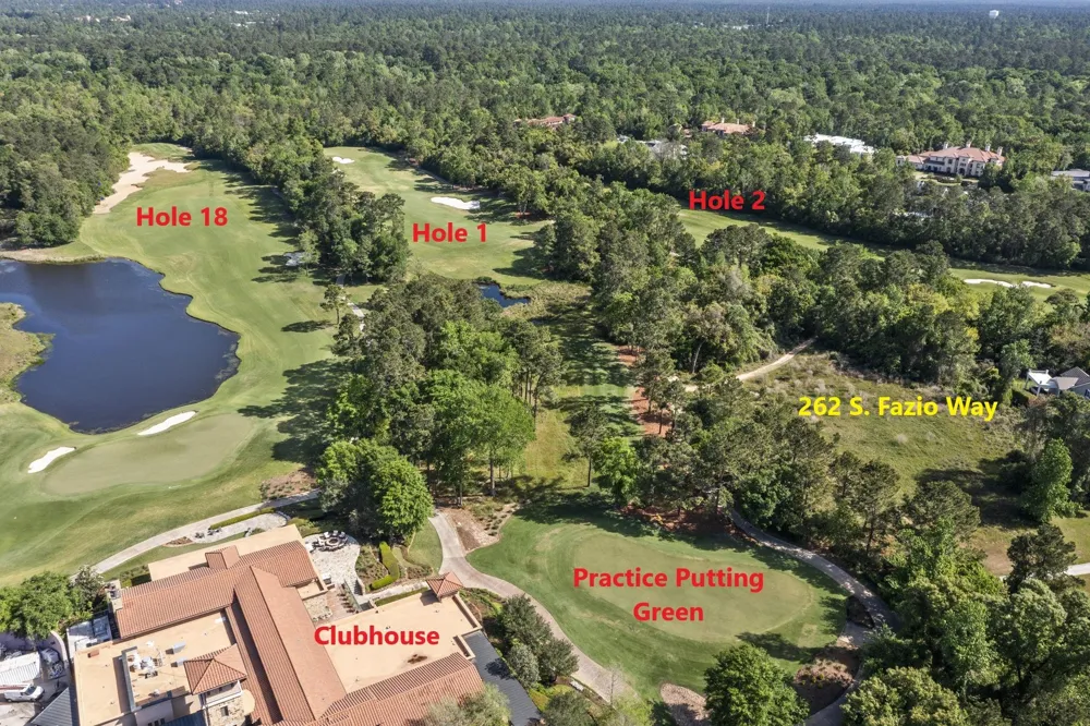 262 S Fazio Way The Woodlands, TX 77389