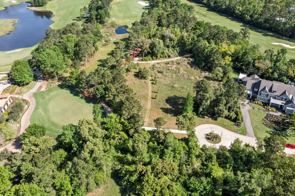 262 S Fazio Way The Woodlands, TX 77389