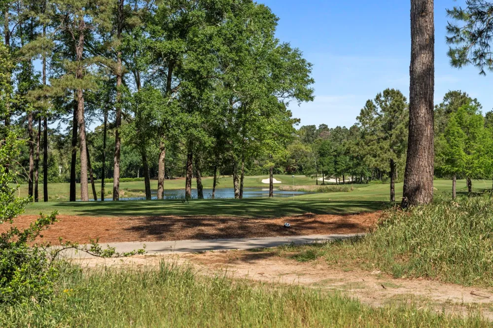 262 S Fazio Way The Woodlands, TX 77389