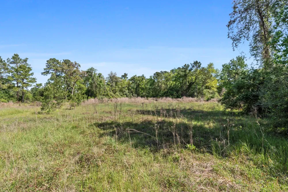 262 S Fazio Way The Woodlands, TX 77389