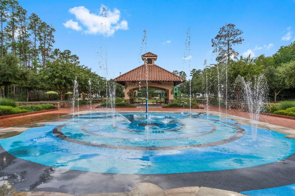 262 S Fazio Way The Woodlands, TX 77389