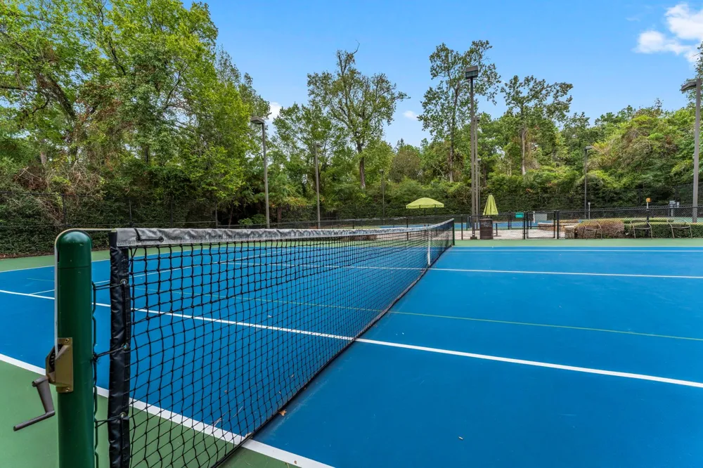 262 S Fazio Way The Woodlands, TX 77389
