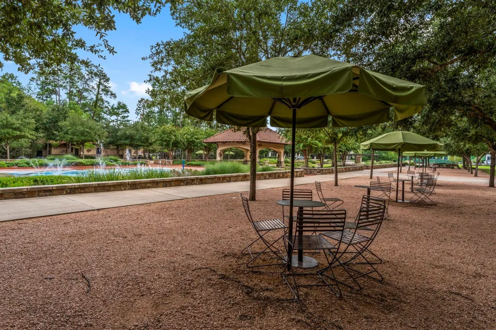 262 S Fazio Way The Woodlands, TX 77389