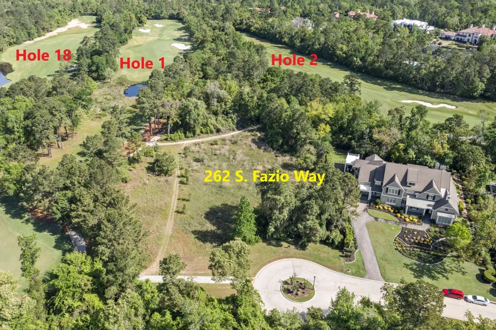 262 S Fazio Way The Woodlands, TX 77389