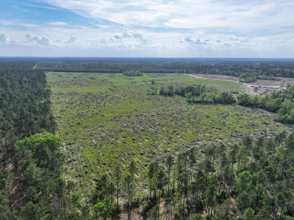 9770 State Hwy 94 Groveton, TX 75845