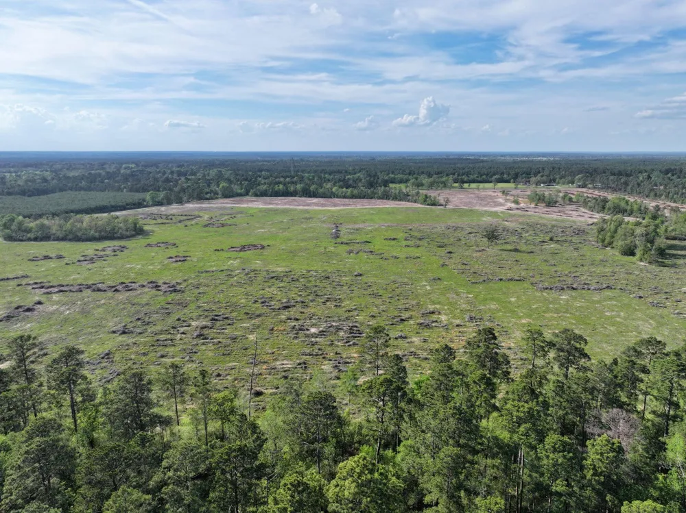 9770 State Hwy 94 Groveton, TX 75845