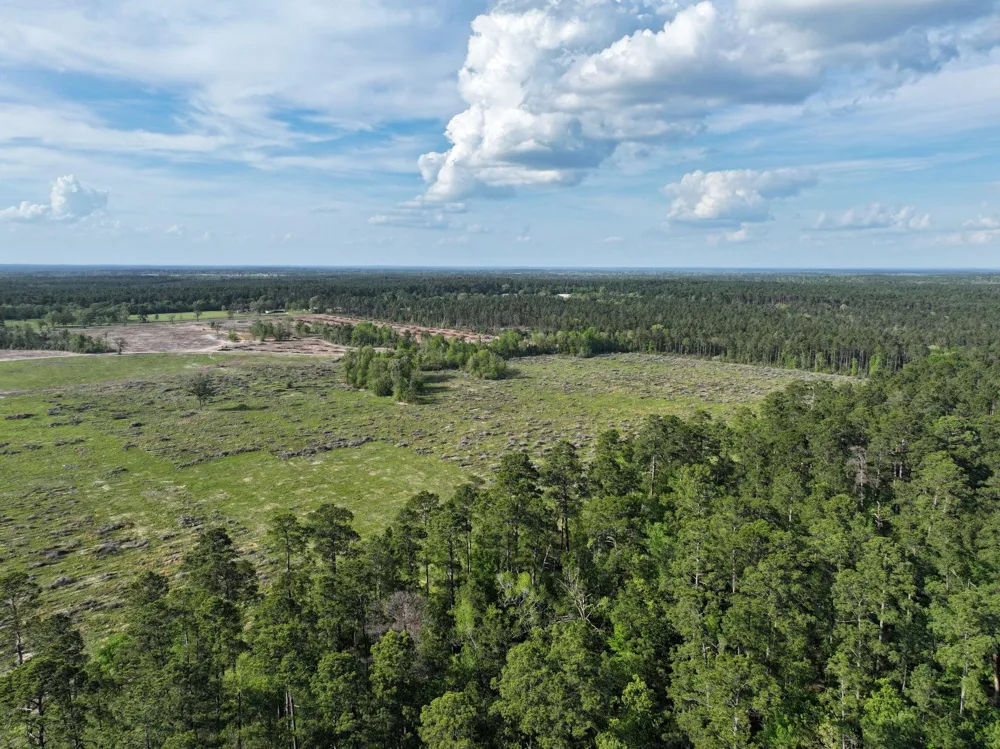 9770 State Hwy 94 Groveton, TX 75845