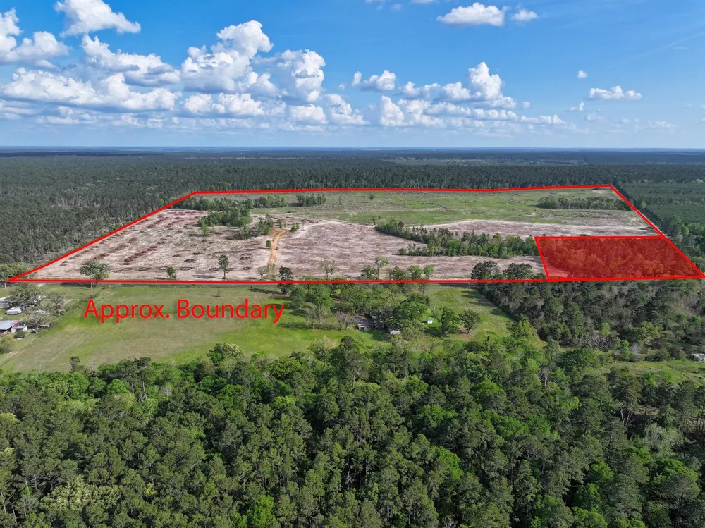 9770 State Hwy 94 Groveton, TX 75845