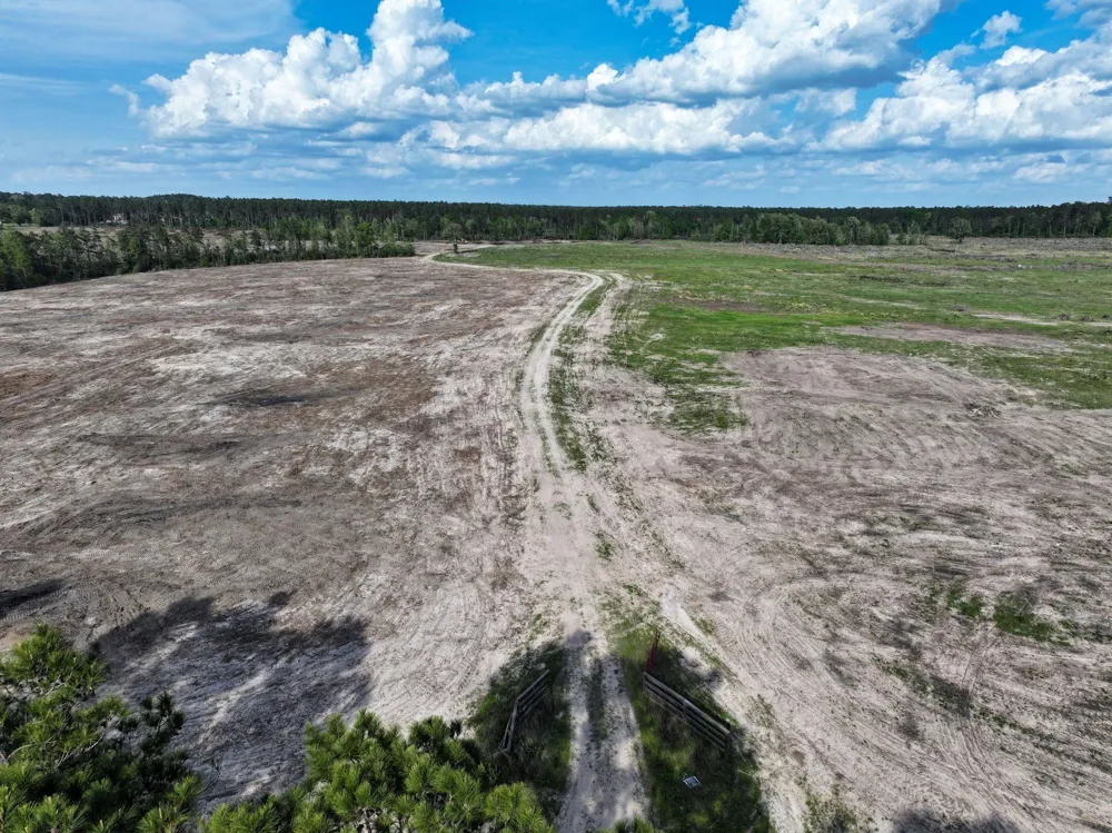 9770 State Hwy 94 Groveton, TX 75845