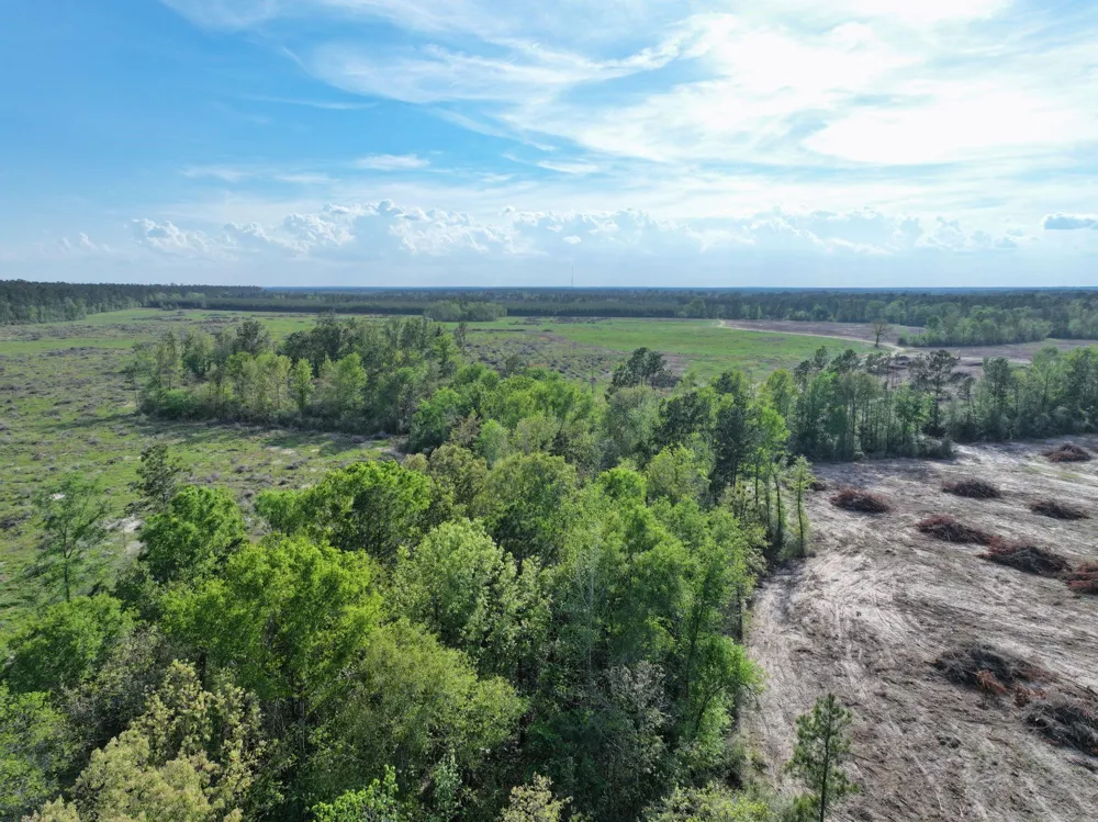 9770 State Hwy 94 Groveton, TX 75845