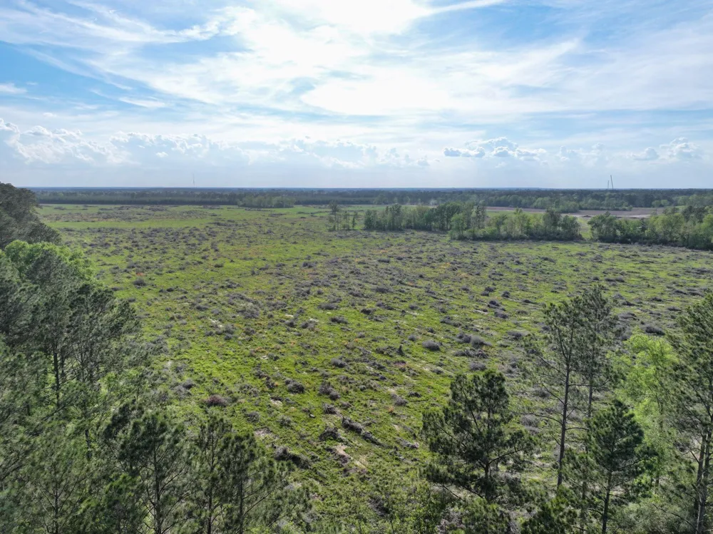 9770 State Hwy 94 Groveton, TX 75845