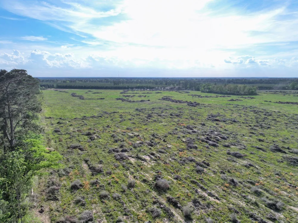 9770 State Hwy 94 Groveton, TX 75845