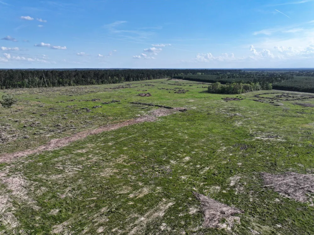 9770 State Hwy 94 Groveton, TX 75845