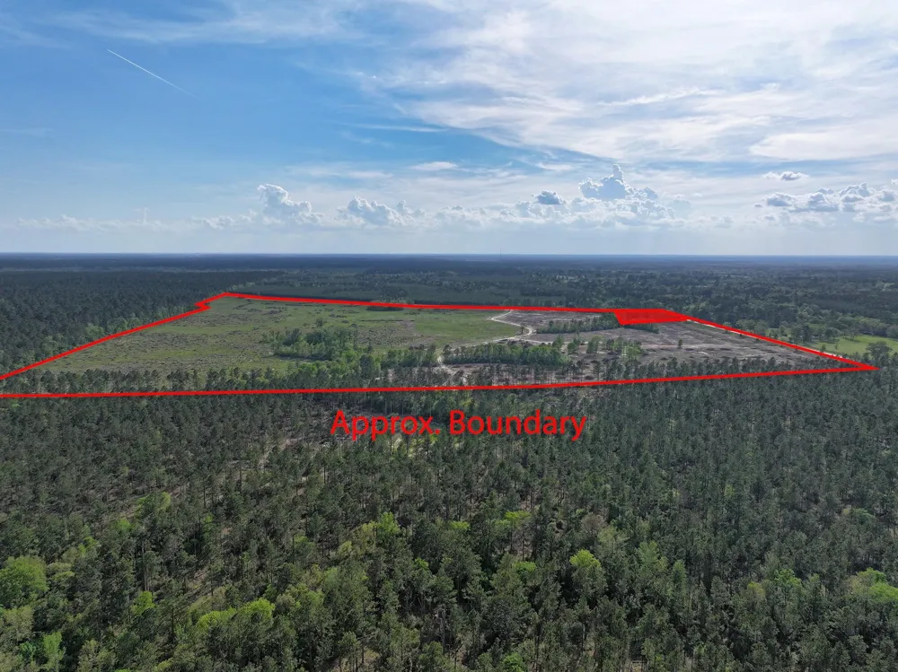 9770 State Hwy 94 Groveton, TX 75845