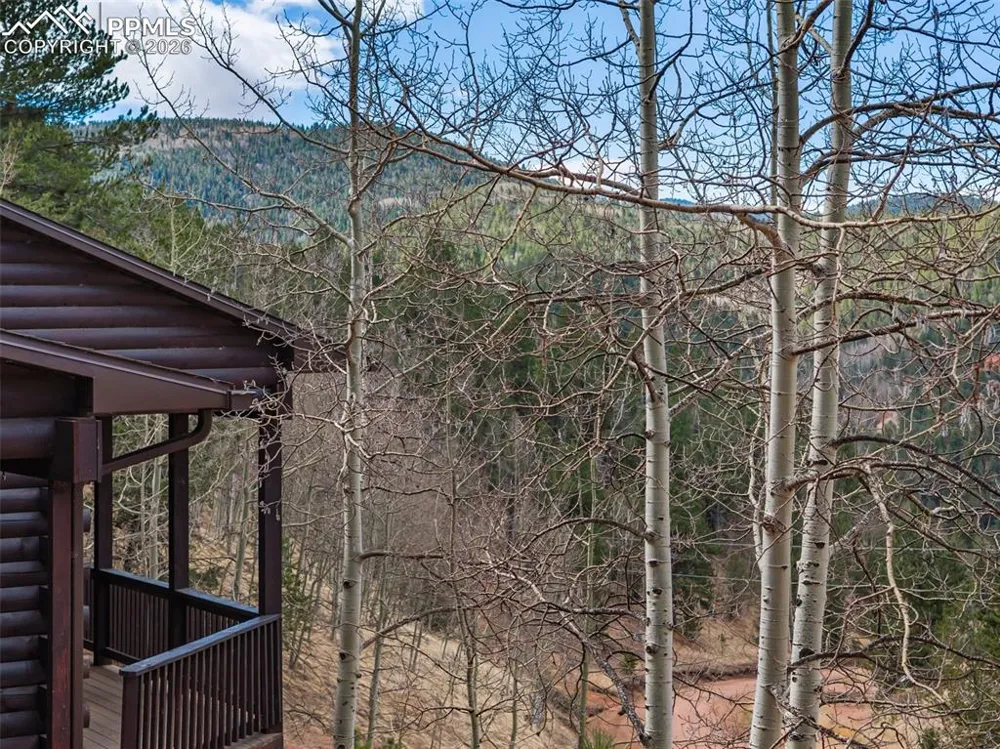 60 Beaver Pond Road Divide, CO 80814
