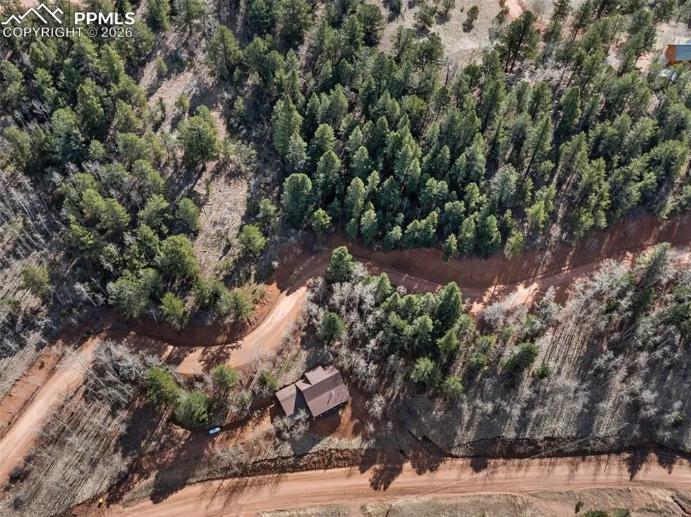 60 Beaver Pond Road Divide, CO 80814