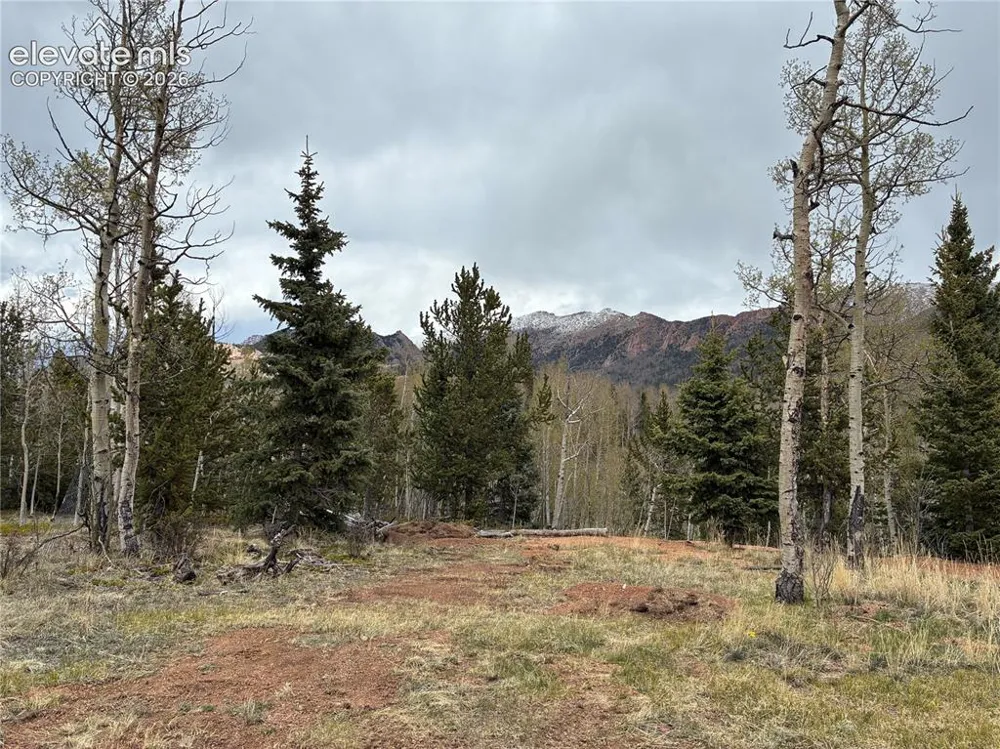 12201 S Highway 67 Cripple Creek, CO 80813