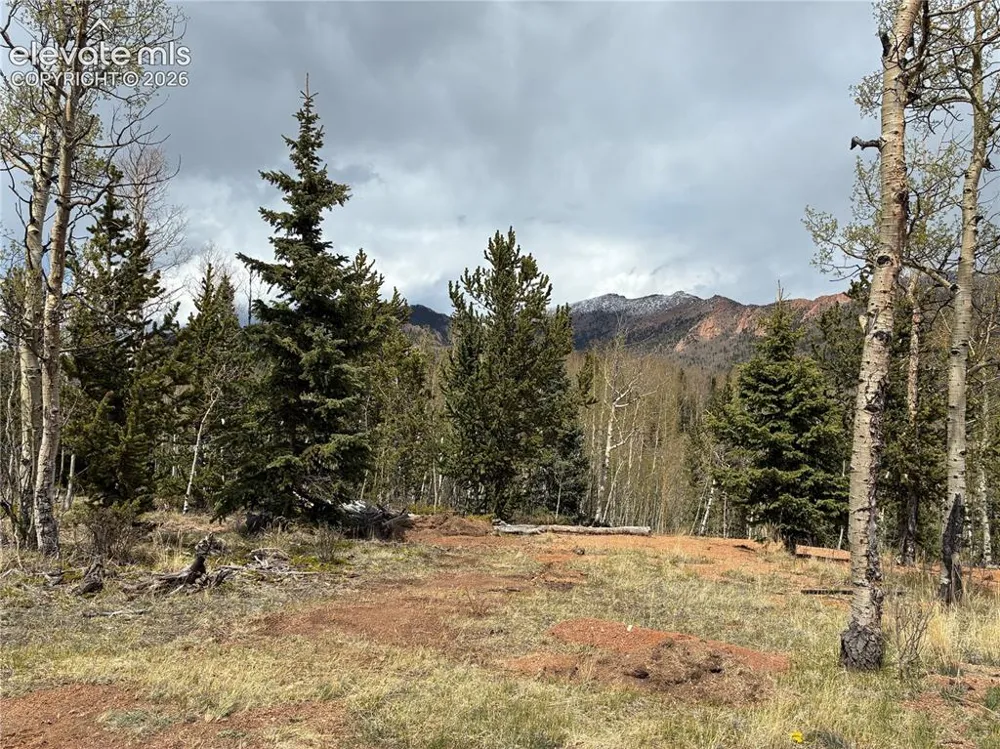 12201 S Highway 67 Cripple Creek, CO 80813