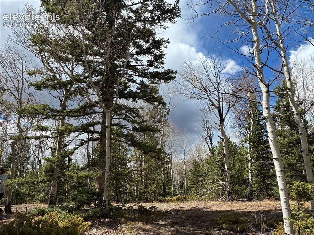 12201 S Highway 67 Cripple Creek, CO 80813