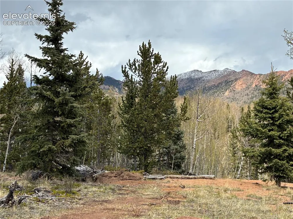 12201 S Highway 67 Cripple Creek, CO 80813