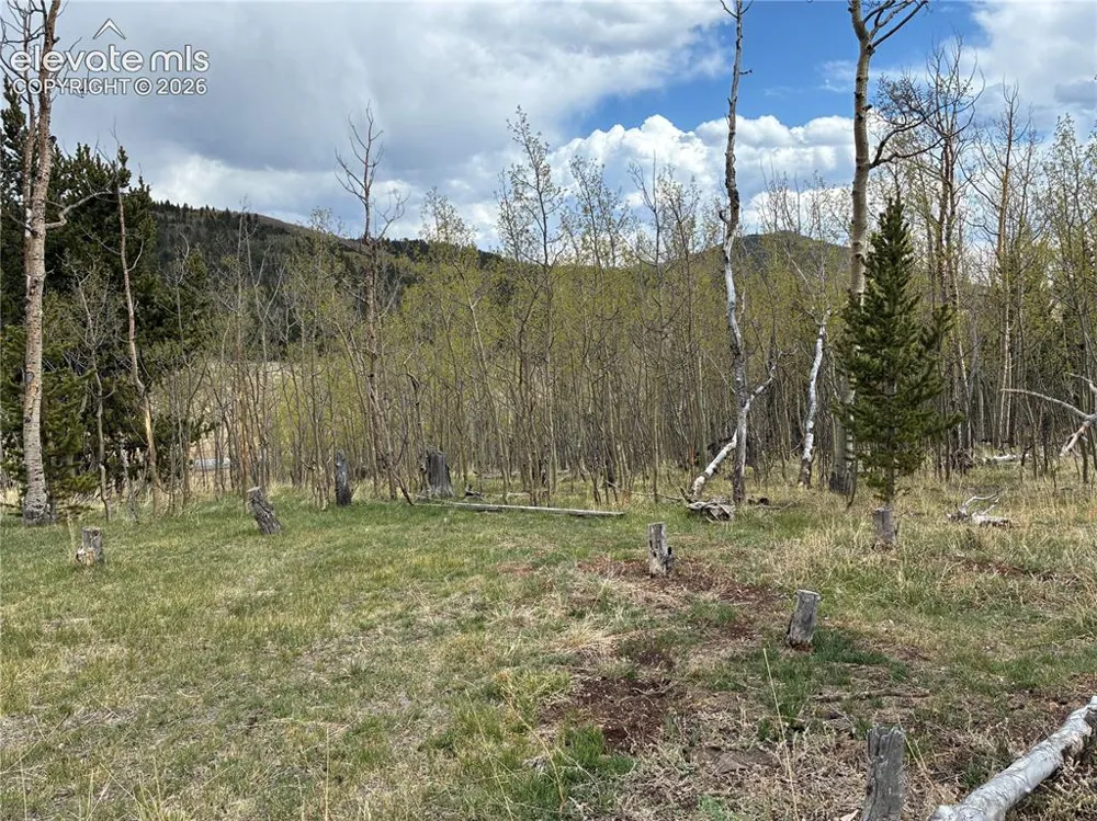 12201 S Highway 67 Cripple Creek, CO 80813