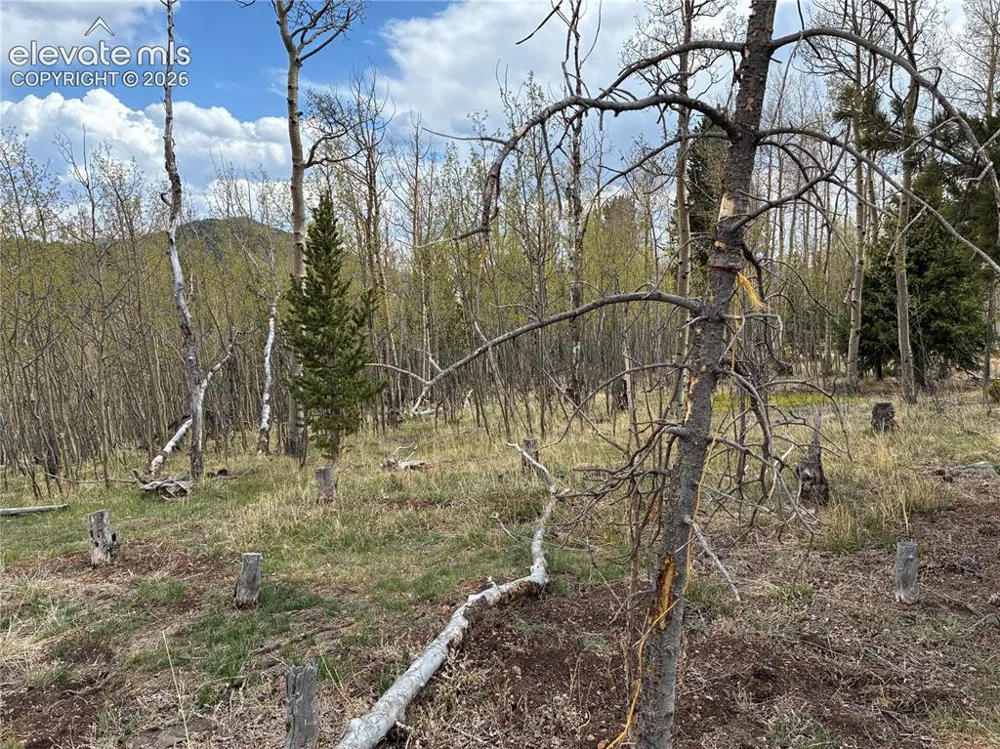 12201 S Highway 67 Cripple Creek, CO 80813