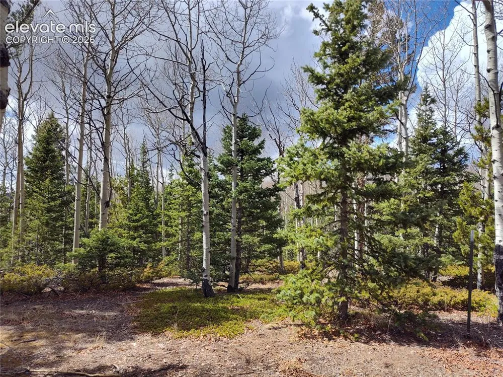 12201 S Highway 67 Cripple Creek, CO 80813