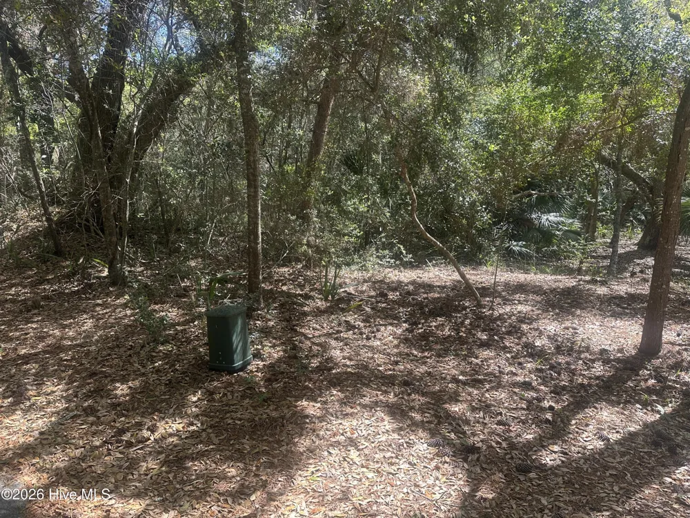 31 Fort Holmes Trail Bald Head Island, NC 28461