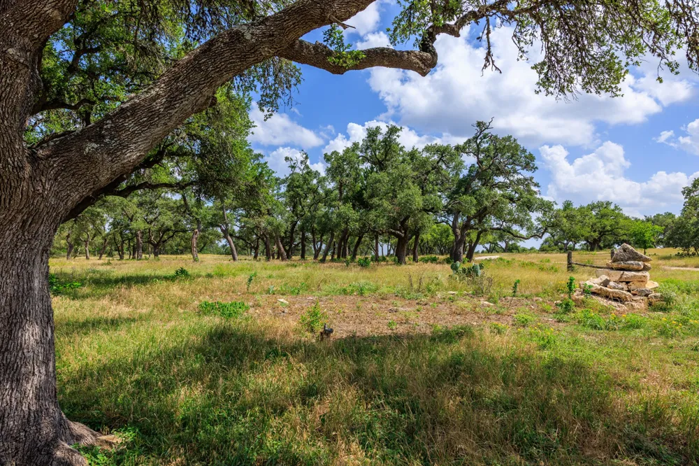 Lone Man Mountain Road Wimberley, TX 78676