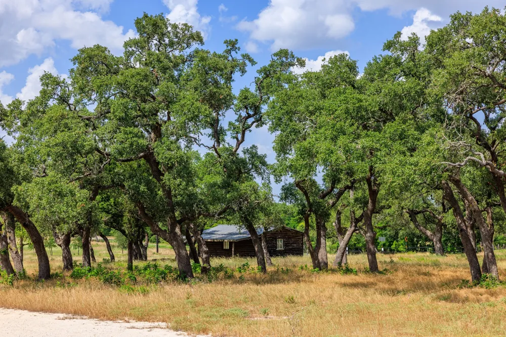 Lone Man Mountain Road Wimberley, TX 78676