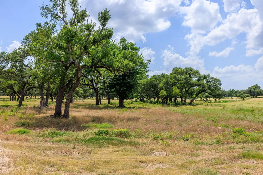 Lone Man Mountain Road Wimberley, TX 78676