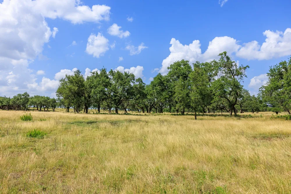 Lone Man Mountain Road Wimberley, TX 78676