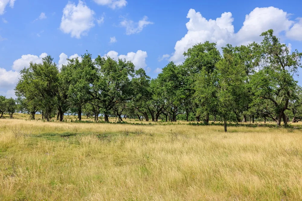 Lone Man Mountain Road Wimberley, TX 78676