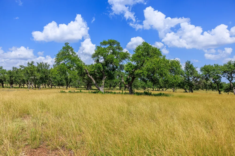 Lone Man Mountain Road Wimberley, TX 78676
