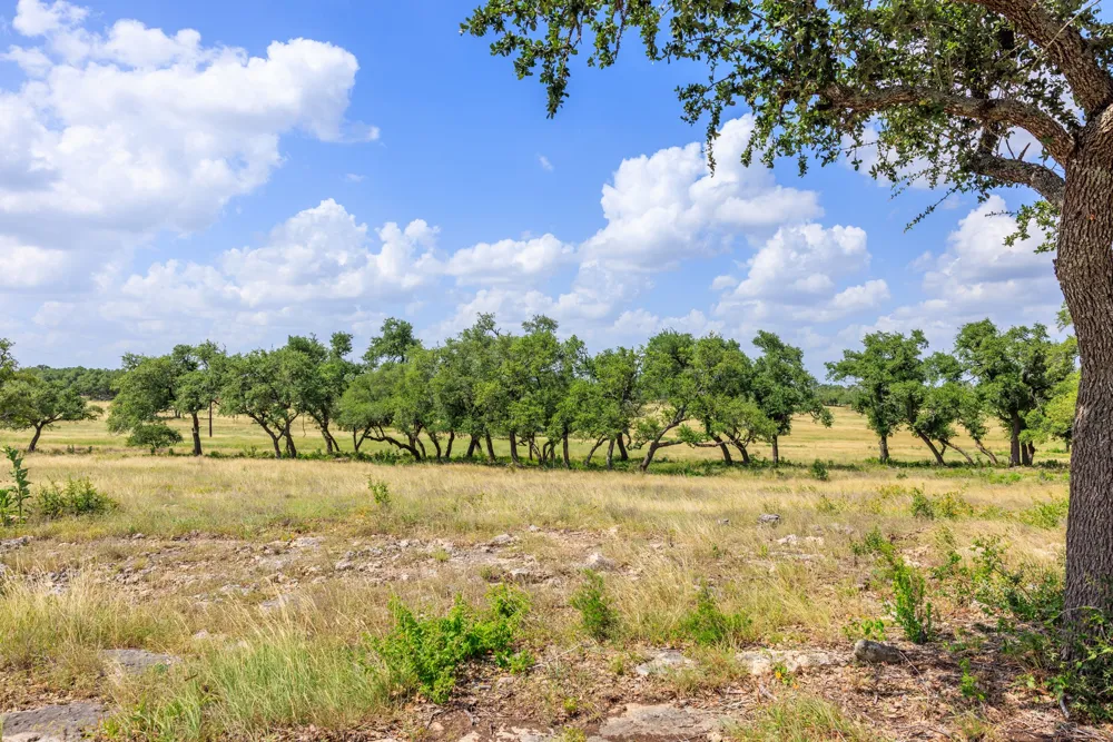 Lone Man Mountain Road Wimberley, TX 78676