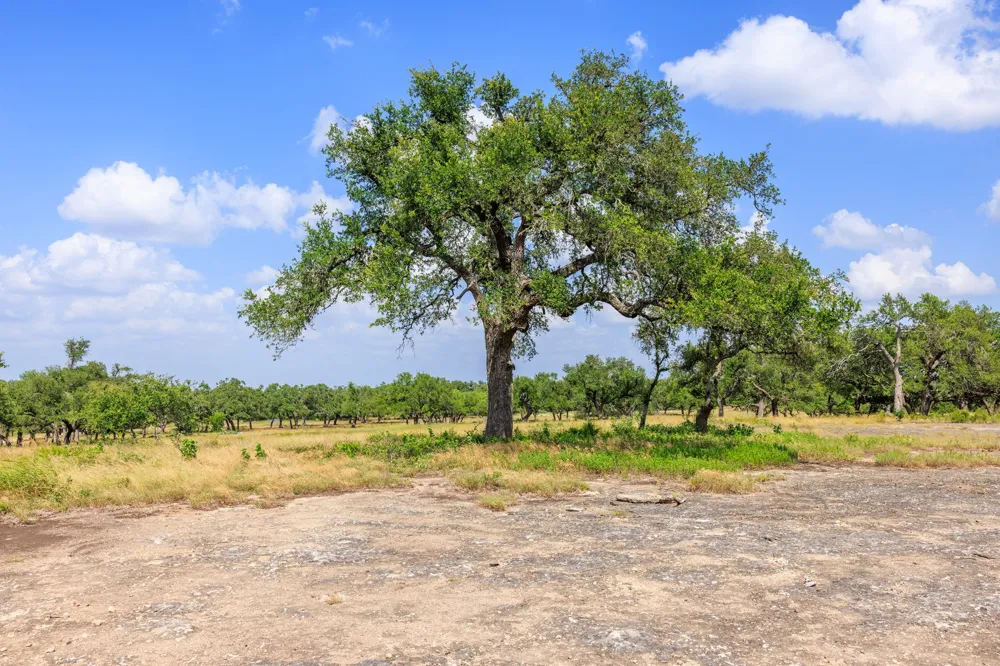 Lone Man Mountain Road Wimberley, TX 78676