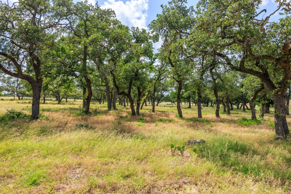 Lone Man Mountain Road Wimberley, TX 78676