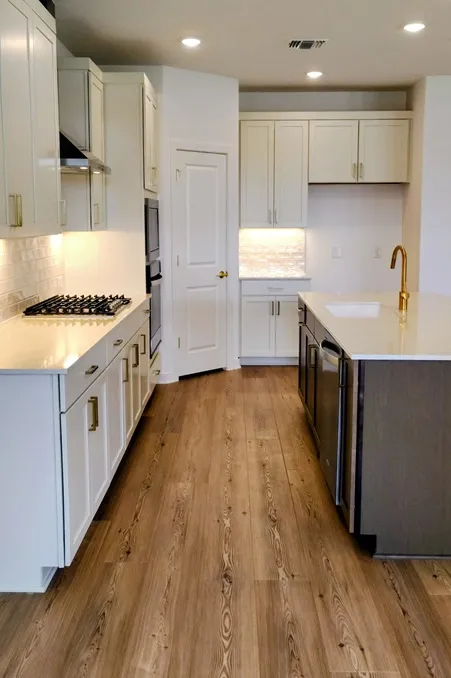 1816 Spring Mountain Cove Georgetown, TX 78628