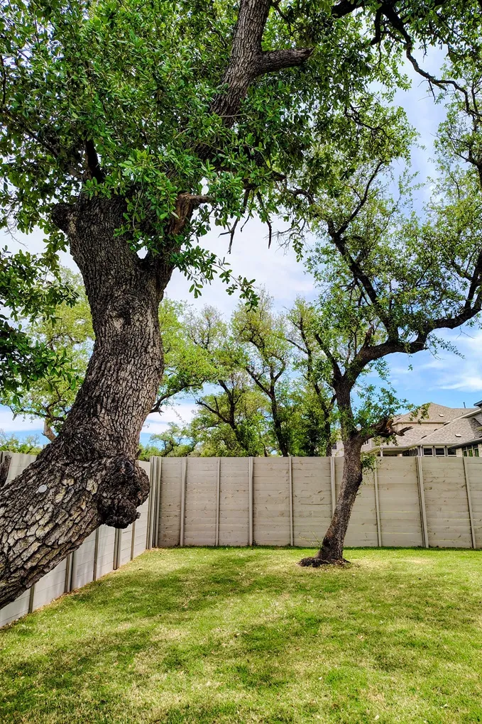 1816 Spring Mountain Cove Georgetown, TX 78628
