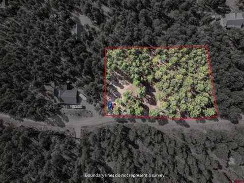 272 Timber Drive