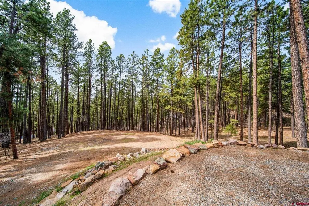 272 Timber Drive Bayfield, CO 81122