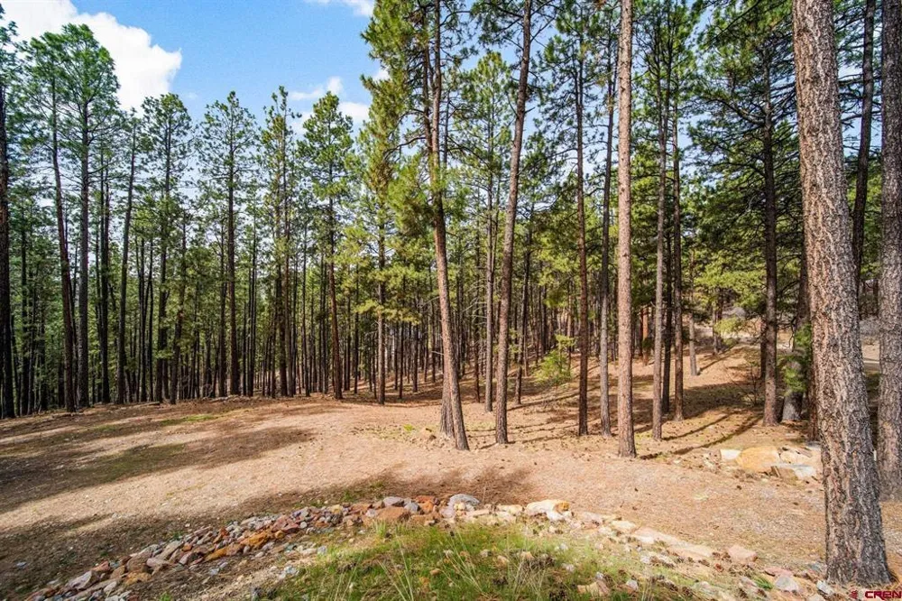 272 Timber Drive Bayfield, CO 81122