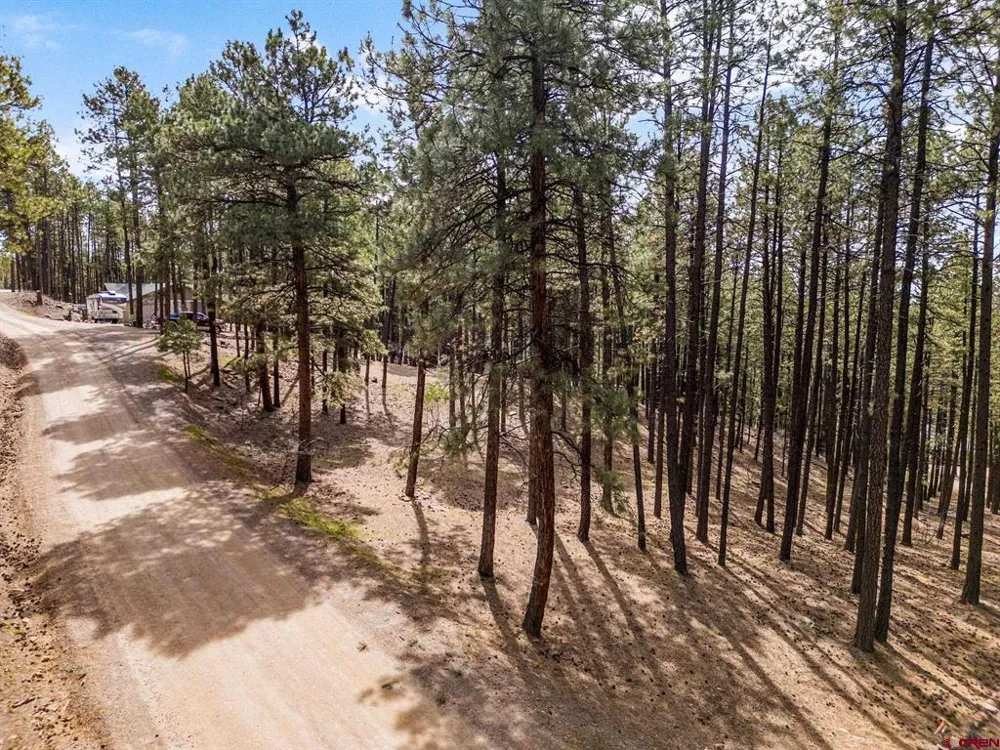 272 Timber Drive Bayfield, CO 81122